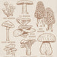 Soul Flower - Mushroom Botanical Organic T-Shirt